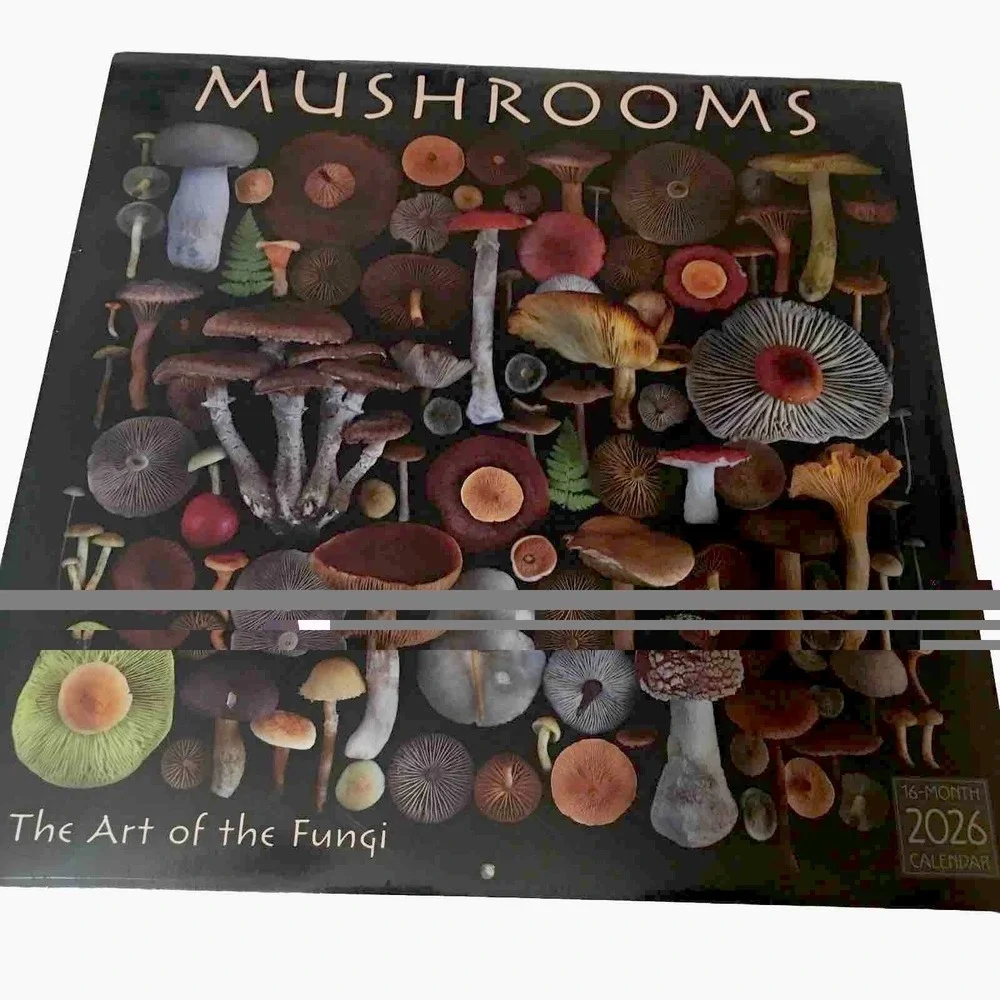 Moritz Schmid Art‎ of the Mushroom 2026 12
